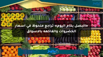 «البصل بكام اليوم» تراجع ملحوظ في أسعار الخضروات والفاكهة بالأسواق